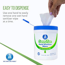 Load image into Gallery viewer, 12/CS SannyTize Hand Sanitizer Wipes