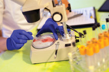 Load image into Gallery viewer, 1000/cs VersaShield Textured Powder-Free Nitrile Exam Gloves