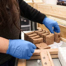 Load image into Gallery viewer, 1000/case Gloveworks Blue Synthetic Vinyl Disposable Gloves